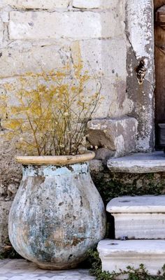 an old vase with some plants in it sitting on the steps next to a building