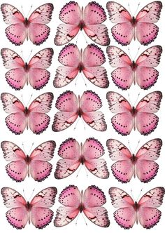 many pink butterflies on a white background