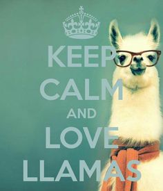 a llama wearing glasses with the words keep calm and love llamas