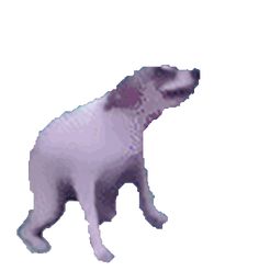 a blurry image of a dog on a white background