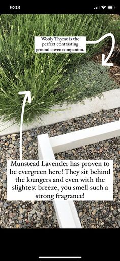 a white bench sitting on top of gravel next to a grass covered ground with words above it