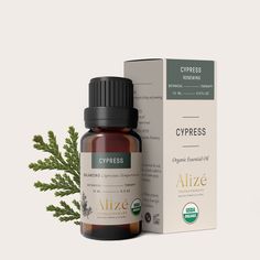 Alize Living Organic Cypress Essential Oil - 10ml Natural Expectorant, Aromatherapy Oil Blends, Cypress Oil, Cypress Essential Oil, Ylang Ylang Essential Oil, Deep Breathing, Cedarwood Essential Oil, Bergamot Essential Oil, Patchouli Essential Oil