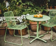 two green chairs and a table with oranges on it in front of some potted plants