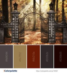 an open gate with autumn leaves on the ground and trees in the background color palette