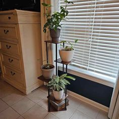 three potted plants sitting on top of a stand in front of a window