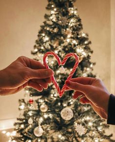 two hands holding a heart shaped candy cane in front of a christmas tree with lights