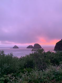 the sun is setting over the ocean with some rocks in the water and bushes on the shore