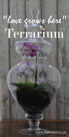 there is a glass vase with flowers in it and the words love grows here terrarium