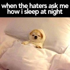 a dog is laying in bed with the caption when the haters ask me how i sleep at night