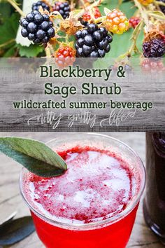 blackberry and sage shrub wildcrafted summer beverage