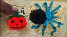 a spider and a pumpkin are on the ground