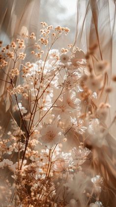 some white flowers are in a vase on the table