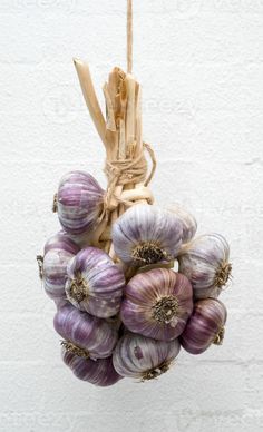 an arrangement of garlic hanging from a rope