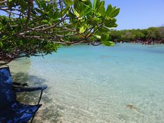 a blue lawn chair sitting on top of a sandy beach next to the ocean under a tree