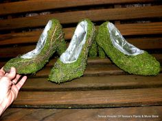 someone is holding their shoes covered in moss