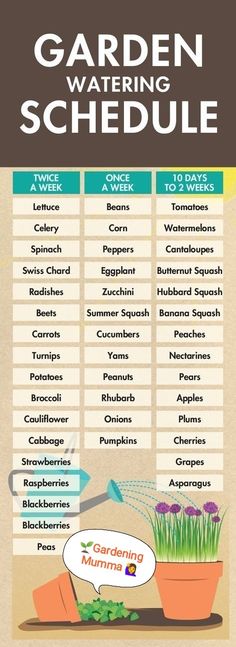 the garden watering schedule is shown in this graphic style, with instructions for how to use it