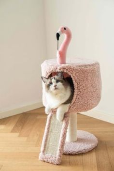 a cat sitting in a pink bird house with a flamingo on it's head