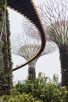 Solar trees Phone Wallpaper Backgrounds, Solar Tree, Gardens By The Bay Singapore, Singapore Photos, Solar Farm, Artistic Installation, Gardens By The Bay, Backgrounds Phone Wallpapers, Travel Goals