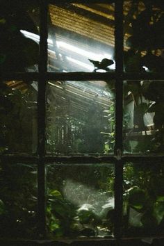 the view from inside an open window at night, through which is light coming in