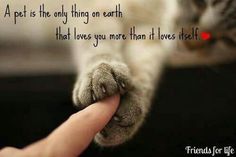 a person holding the paw of a cat that is touching it's paws with their thumb