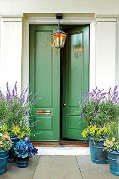 two green doors and three blue flower pots