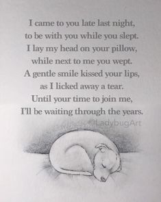 a drawing of a sleeping dog with the words i came to you late last night, to be with you while you sleep