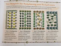 an old book with different types of plants and flowers on the pages, in german