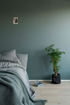 a bedroom with a bed and a plant on the floor in front of a window