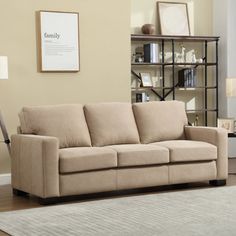 a living room scene with focus on the couch and bookcase in the background,