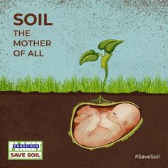 an image of a baby in the soil with a plant growing out of it