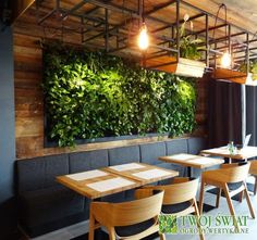 a restaurant with wooden tables and chairs, plants on the wall above them are hanging lights