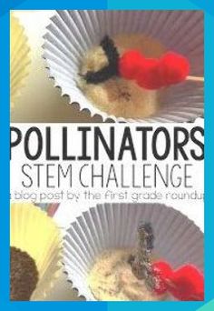 In second grade, kids explore interdependence within an ecosystem through the Next Gen Science Standards. This pollinator STEM challenge allows 2nd grade kids to get a hands on look at how and why pollinators are important to flowers and other organisms in an ecosystem. #lorrieheadland1994 Pollination Activity, Science Lessons Elementary, Insects Preschool, Insect Activities, Bee Activities, Birthday Boyfriend, Second Grade Science, 1st Grade Science, Paintings Easy