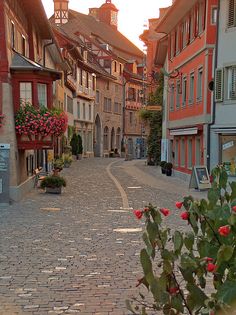 an empty cobblestone street with flowers in the foreground and buildings on either side