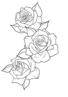 three roses are shown in black and white