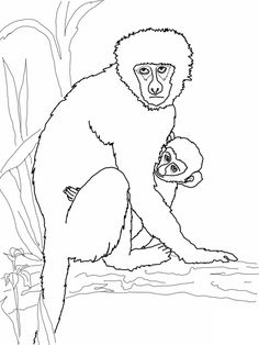 a drawing of a monkey and its baby in the jungle coloring page for kids,