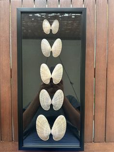 a person's feet are placed in front of a glass case with shells inside