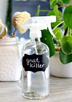 a hand sanitizer is sitting on a table next to some potted plants