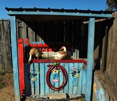 two ducks sitting on top of a wooden fence next to a red and blue gate