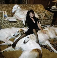 a woman is sitting on the couch with three dogs