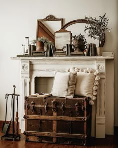 an old trunk sitting in front of a fireplace with plants on top and other items around it