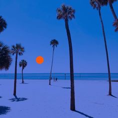 palm trees line the beach at dusk with an orange ball in the sky