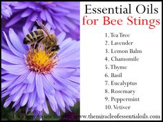 Bee stings can be painful. One of the best first aids for bee stings is using natural remedies. Discover 10 fast-acting essential oils for bee sting relief. They also work for wasp stings and hornet stings. Bee Repellent, Getting Rid Of Bees, First Aid Bag, Essential Oils For Pain