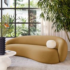 a living room filled with furniture next to a large window and a potted plant