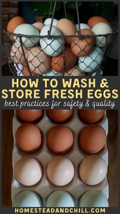 how to wash and store fresh eggs best practices for safety and quality