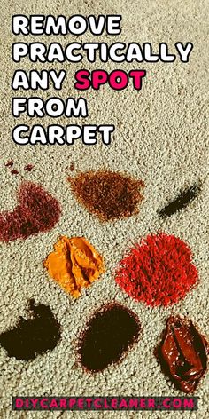 the cover of remove practically any spot from carpet with different colored pigments on it