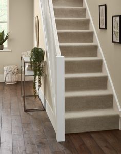 the stairs are clean and ready to be used in this home's entryway