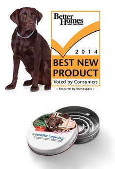 a dog is sitting next to some tins with the best new product on them