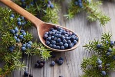 a wooden spoon filled with blueberries on top of a table next to pine needles