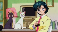 a person sitting at a desk with a cat in front of them and a computer on the table