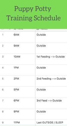 the puppy potty training schedule is shown in green and white, with instructions for how to